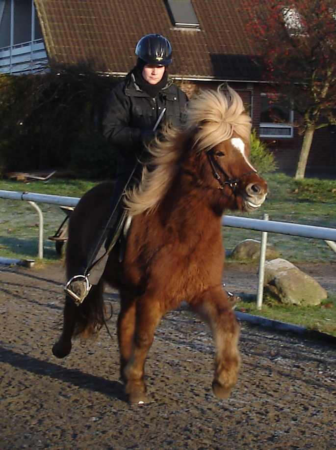Aron Bahn Vindhólar